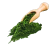 Mikrořasy (Chlorella)