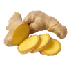 Zázvor